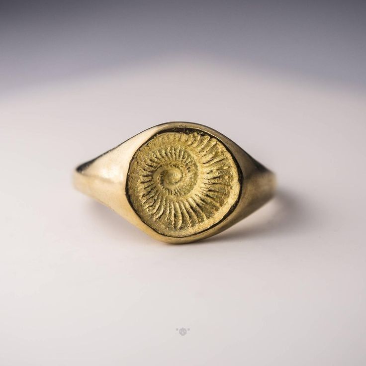 Golden Shell Fossil Ring